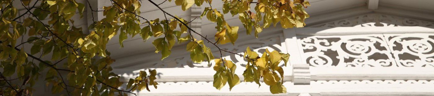 Utskjæring i tre under mønet på skolebygget (foto: Mette Langeid)