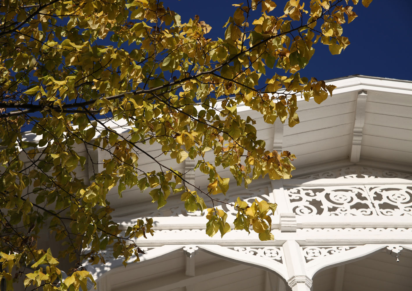 Detalj av mønet på bygget