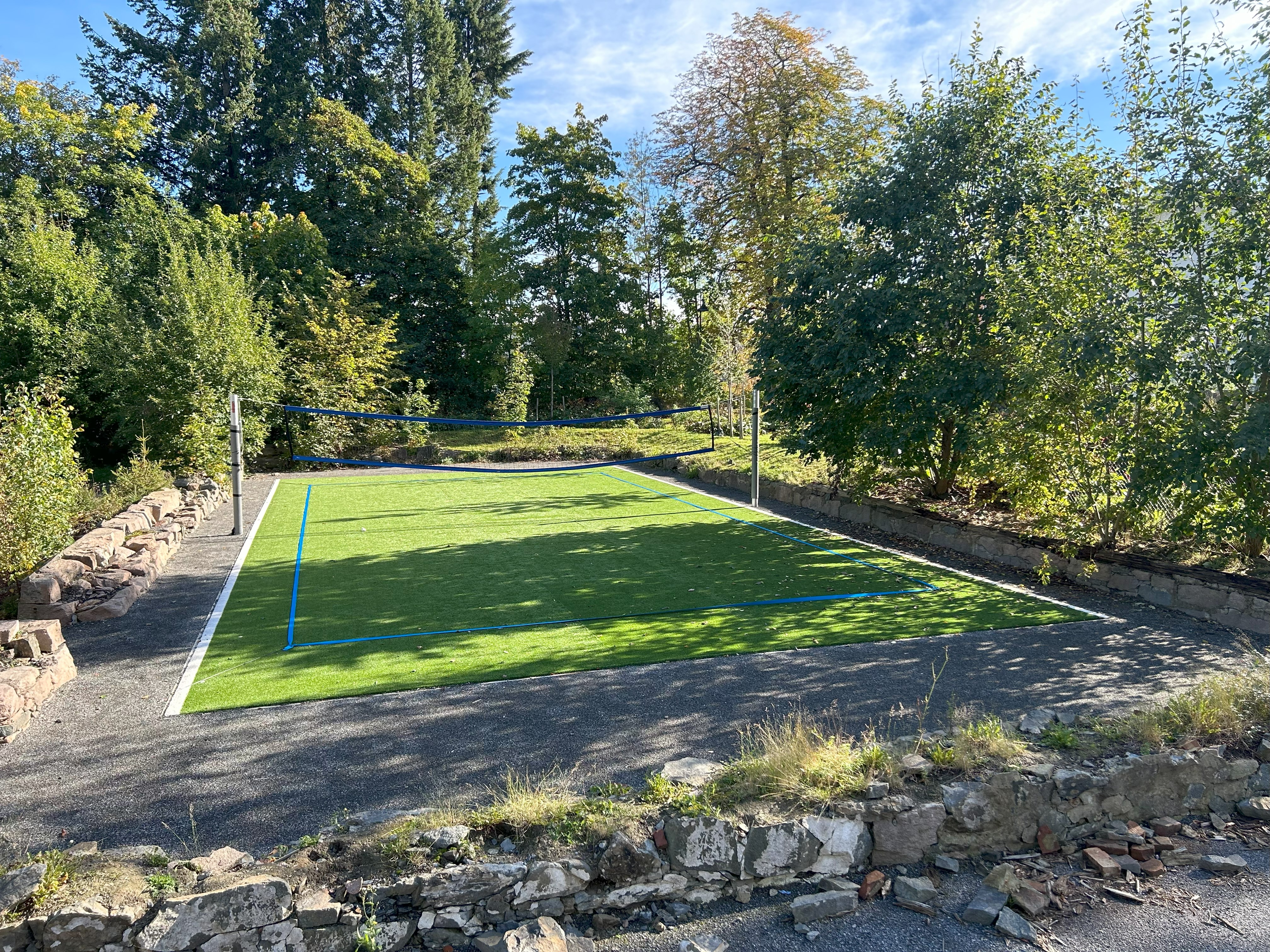 et basseng omgitt av trær