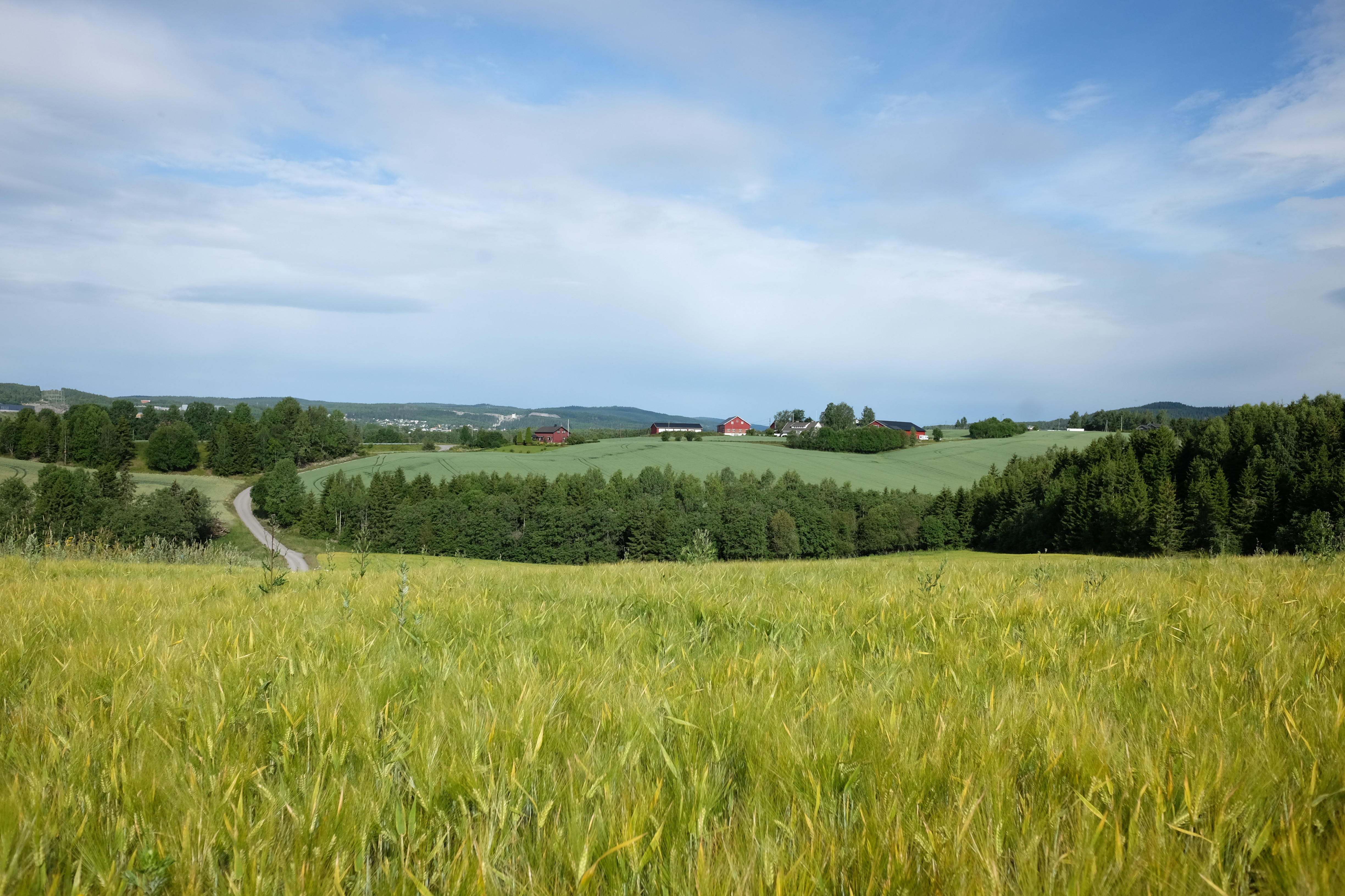 Foto: Takk for i år! Foto: M. L. God sommer